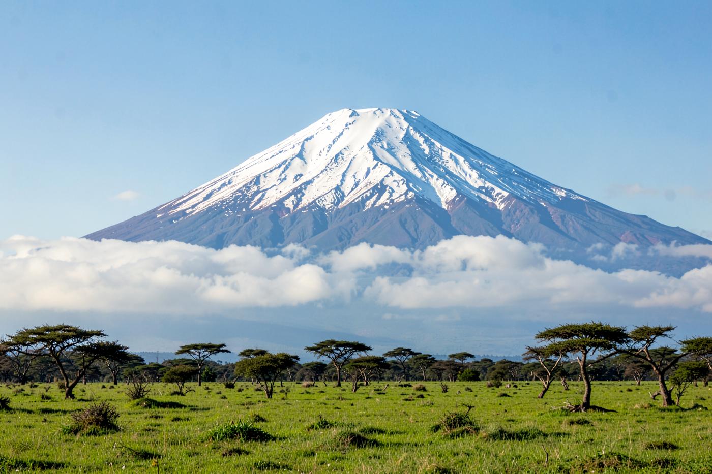 Snow-capped Mount Kilimanjaro above the plains