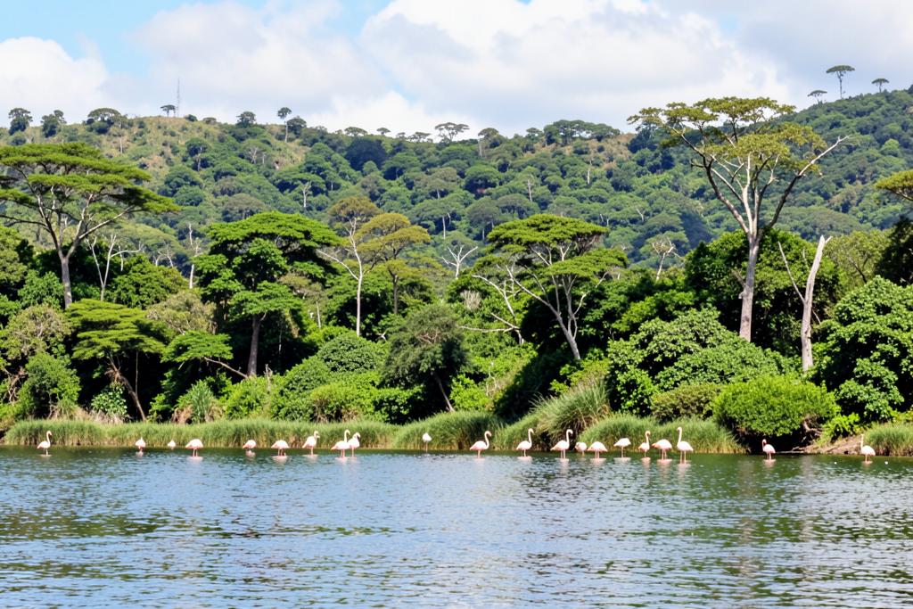 Lake Manyara